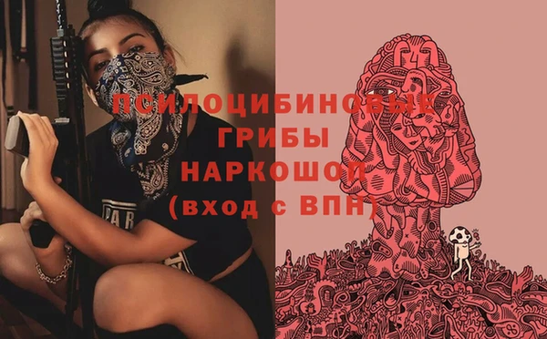 ECSTASY Армянск