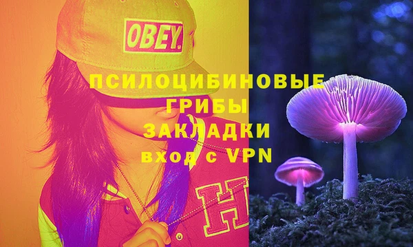 гидра Аркадак