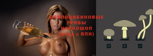 ECSTASY Армянск