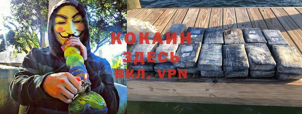 гидра Аркадак