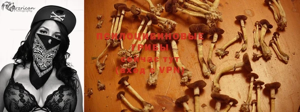 a pvp Арсеньев
