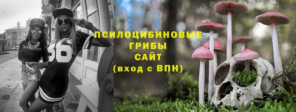 ECSTASY Армянск