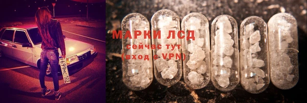 гидра Аркадак