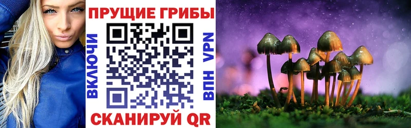 Галлюциногенные грибы прущие грибы  ОМГ ОМГ онион  Злынка 